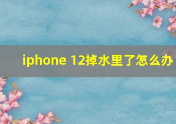 iphone 12掉水里了怎么办